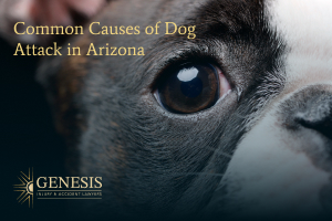 Common causes of dog attack in Arizona
